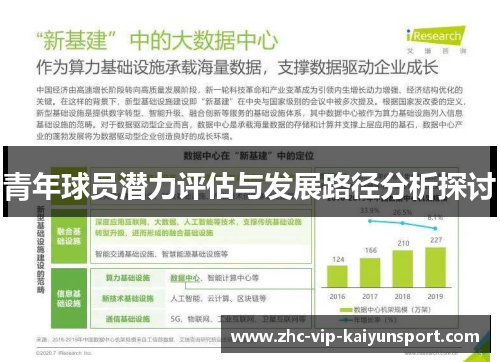 青年球员潜力评估与发展路径分析探讨